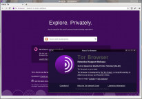 pobierz program Tor Browser Bundle